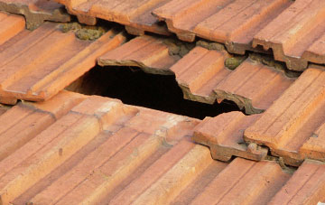 roof repair Morangie, Highland