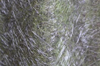 Morangie fibreglass roof work